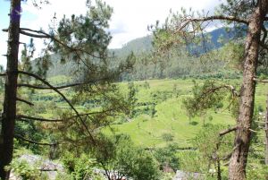 20080701 Photo 1837 1dHGdOMbXno-0Z0agYuHcUUhOWJok7 sN.JPG