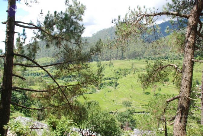 20080701 Photo 1837 1dHGdOMbXno-0Z0agYuHcUUhOWJok7 sN.JPG