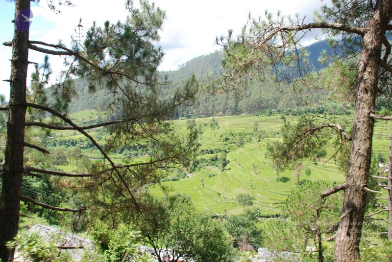 File:20080701 Photo 1837 1dHGdOMbXno-0Z0agYuHcUUhOWJok7 sN.JPG