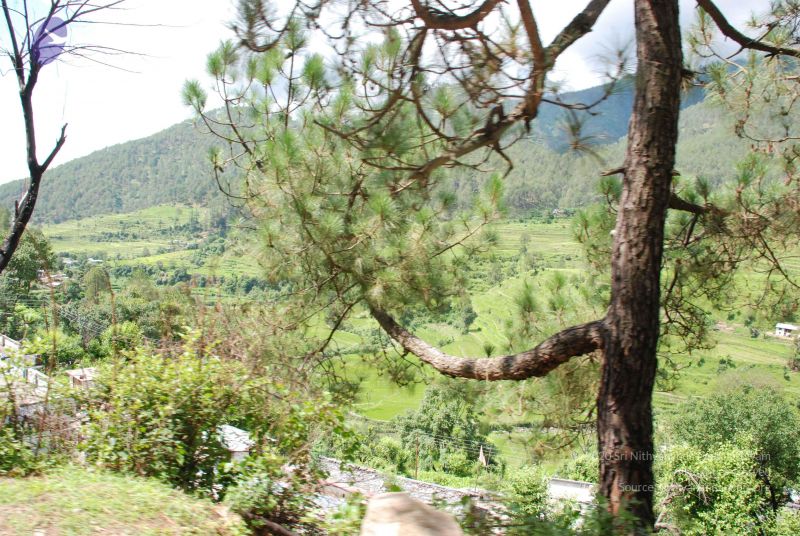 File:20080701 Photo 1838 1pp4JS0OxkkBKuHomxfvcuVHO4vAll4zV.JPG