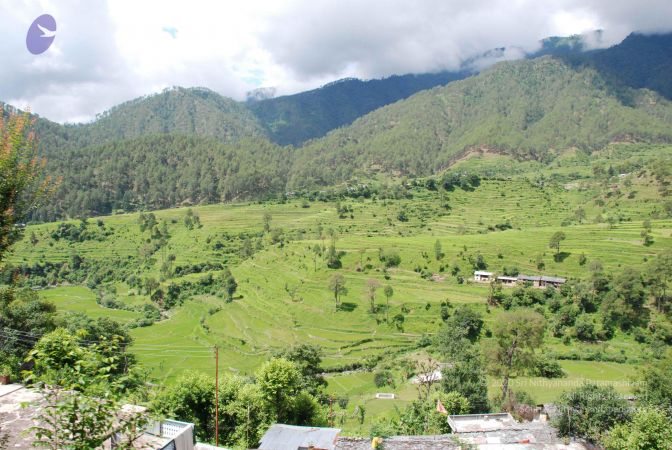 20080701 Photo 1840 1fLrjP-xRy75eFnXyDYJFzeI6XOJ5rMMy.JPG