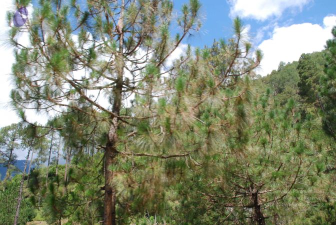 20080701 Photo 1851 1OOipf84ca7Rqf-i8KLIVGnb-MUHmCjUP.JPG