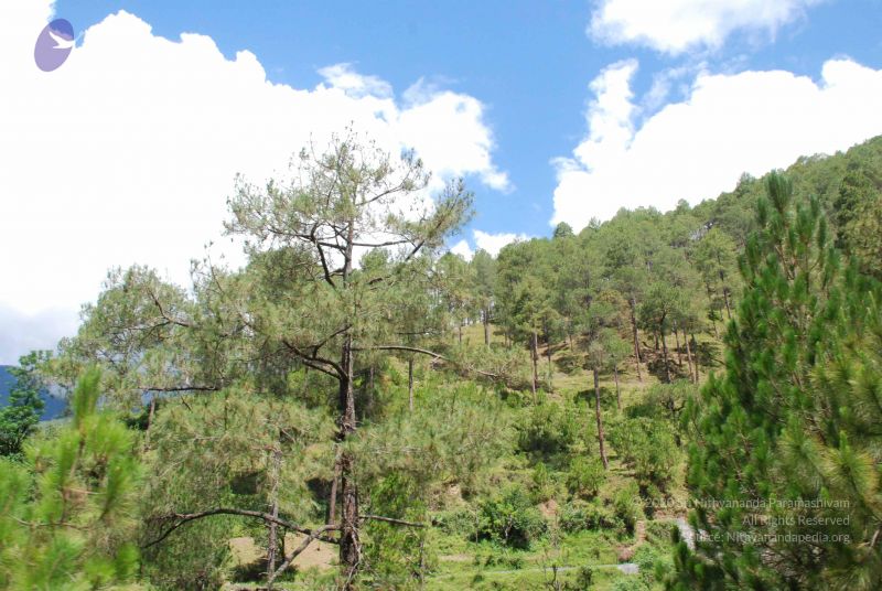 File:20080701 Photo 1853 1Fx3cZ02ZLsM79sjMZqEq39pGZW609j4z.JPG