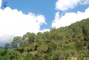 20080701 Photo 1854 1Ob8Voqs0R70M911lCtm7t4YKZWHNdNMf.JPG