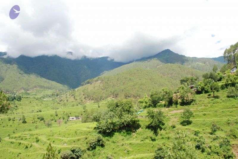 File:20080701 Photo 1858 143Jqj5IYJLghtfzMfYNjOP0GOejqga62.JPG