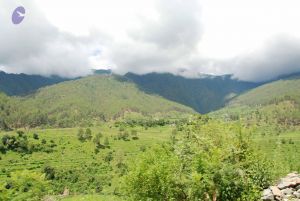 20080701 Photo 1864 1p8thR4iSyRKJstbTYstYKOt0EkYV00ND.JPG