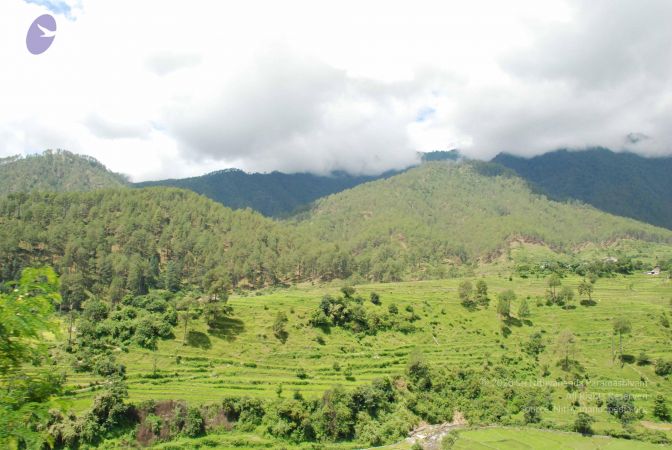 20080701 Photo 1867 1h0GvQfoVG hHOmbng7ZfqzfoWFHsfORy.JPG