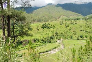 20080701 Photo 1869 1NI2of1mBCF66PAYT5FVarY43l0q-jvP0.JPG