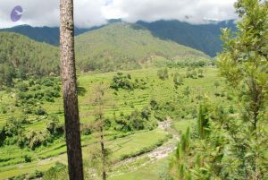 20080701 Photo 1871 1oh9Je6VXMSqY9JiR- lRzqT7ecCoS7Jc.JPG