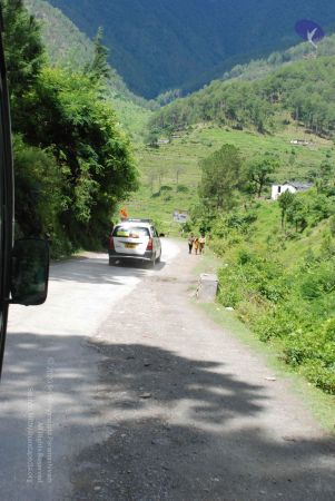 20080701 Photo 1879 1DcpiQRVrQoMHbv5lJXu9uoOWZP4Yt-zx.JPG