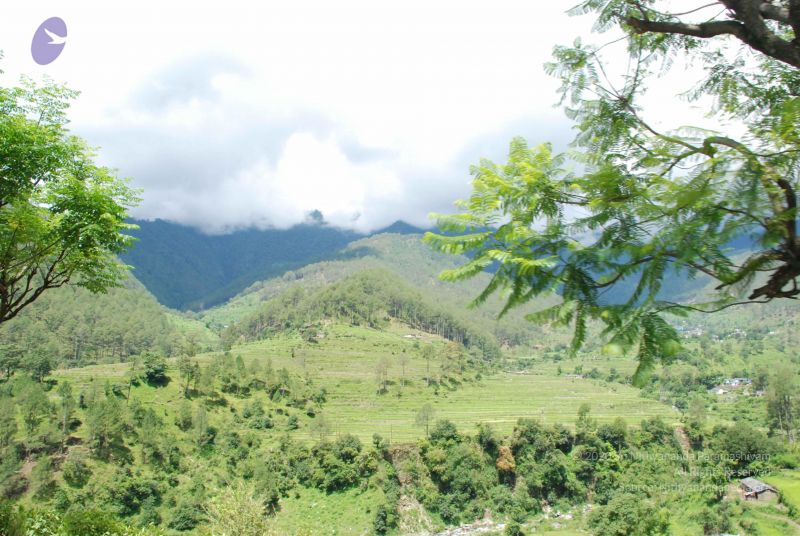 File:20080701 Photo 1881 1Ch9yfiQ2vrax1q1xa7SIlKeV2rLoFxMB.JPG