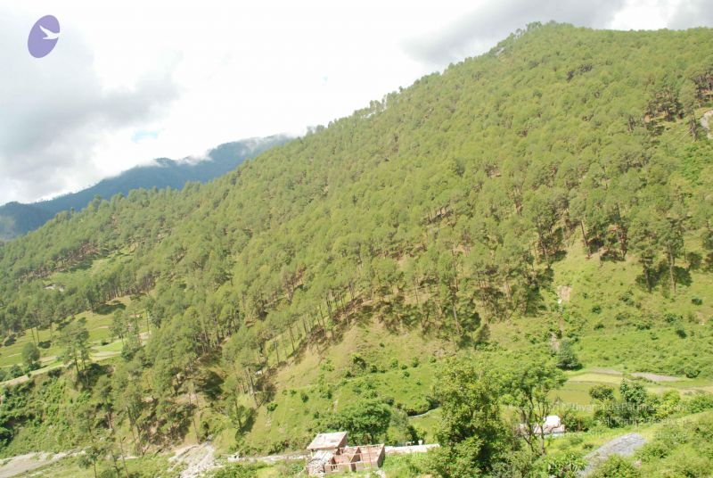 File:20080701 Photo 1887 1qzrDAtP9bFvJzYotWbOmJagBBlsqYfXn.JPG