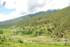 20080701 Photo 1894 1tlIZ2SutLglHmnsb6n3H2Ks sRqHfVXU.JPG