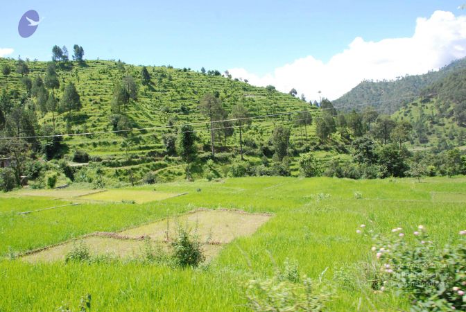 20080701 Photo 1904 1sri5M1OxDlaq MnR3FrhS8g214JK2XaU.JPG