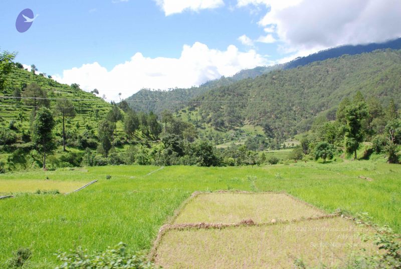 File:20080701 Photo 1906 1TsBdNoytSQWZE1Sns3xWoLmbtbBK9ycD.JPG