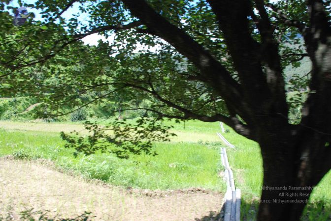 20080701 Photo 1907 1q1dYan0YYYlalM7FMm nBrNwfE8pPW2i.JPG