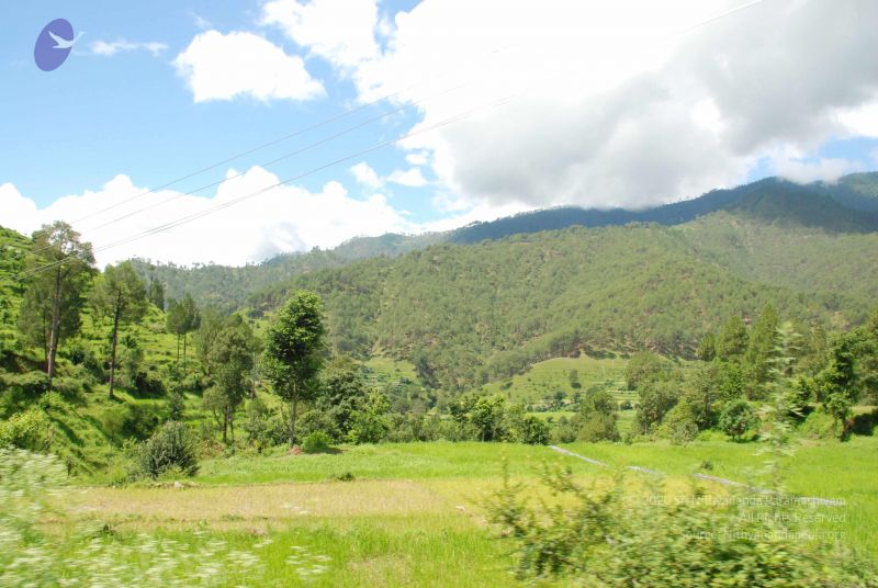 File:20080701 Photo 1909 1kbAEU2UFuEuQSJDngQ4YElBsmCnjHJGt.JPG