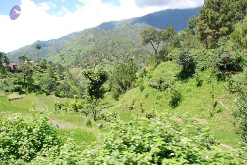 File:20080701 Photo 1913 14iE8hZhtozhObZSKq5T1D61Od2E1nnsL.JPG