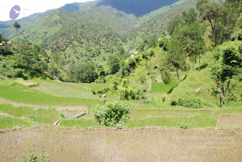 File:20080701 Photo 1916 1wwmo0YdiHP0Gi6oAeov2Cpc5iwRXCrx-.JPG