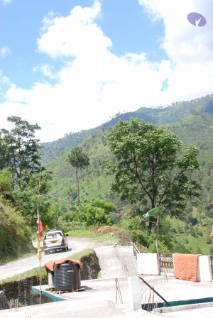 20080701 Photo 1917 18N9Th6FSkkKWu2queWaNClwEz2jjdYDl.JPG