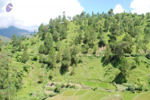 20080701 Photo 1920 1ABTb2609NjEr2wrCDqfXHz1w j8LIHl8.JPG