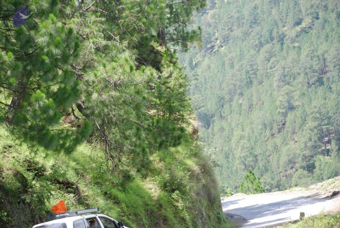 20080701 Photo 1926 18K7Zj6YqaTZepX5j6TUPT3LCQwEa3ykB.JPG