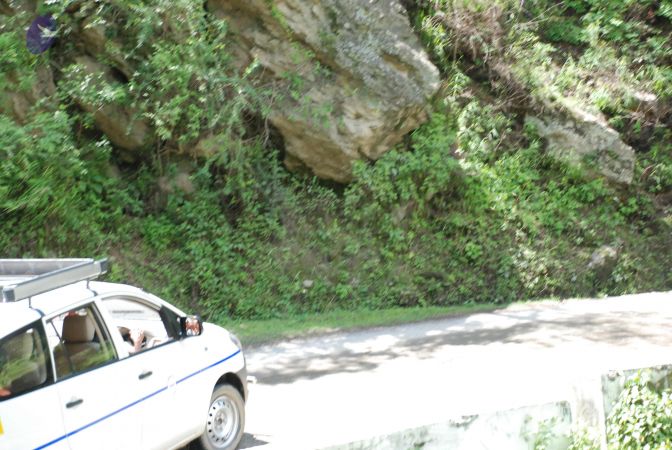 20080701 Photo 1935 1--T2UOhPSxtHlTImj6RRnM3YQ9AMXzSV.JPG