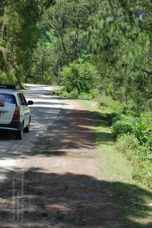 20080701 Photo 1940 1kplcxSzu4xwDCgxHa806gipfGRq0 OcZ.JPG