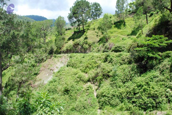 20080701 Photo 1942 19SC1hsExHryrH-2Qscslzh ZHx0uRqea.JPG