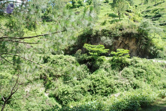 20080701 Photo 1944 1Jf FUfWDVqoTJaQxdlByX7J8DttbXvq1.JPG