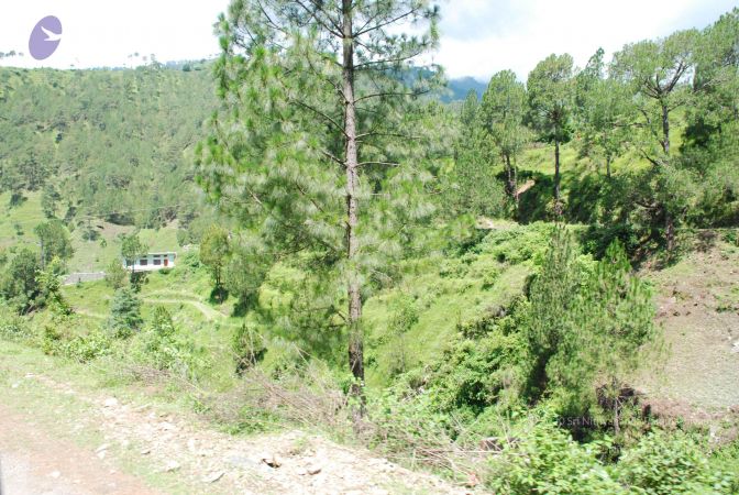 20080701 Photo 1945 1cQE0bs-Bx 8-W8fPN Gt8VRnsgtrm1G5.JPG