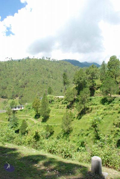 File:20080701 Photo 1946 161vV8XSjiJWupQEjdit4MlPH0aJC8pOk.JPG