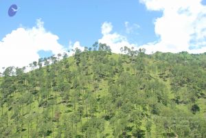 20080701 Photo 1950 1rO98n3hk8cVT3SBd0QGQyL-3Q453uElk.JPG