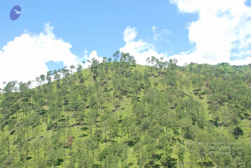 File:20080701 Photo 1950 1rO98n3hk8cVT3SBd0QGQyL-3Q453uElk.JPG