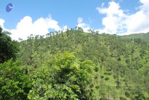 20080701 Photo 1955 1DshCJacCoFbBRMwkn3zYypoKTwEZeHVQ.JPG