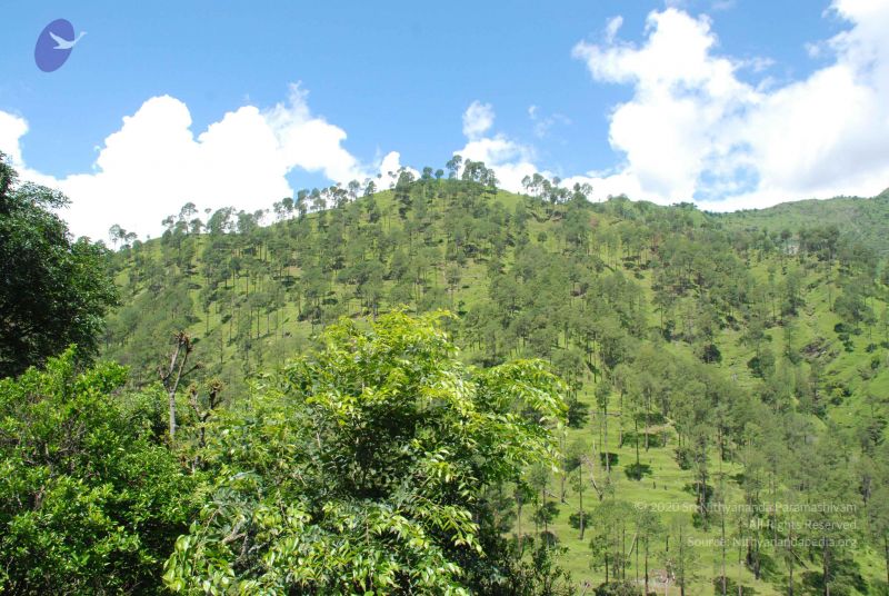 File:20080701 Photo 1955 1DshCJacCoFbBRMwkn3zYypoKTwEZeHVQ.JPG