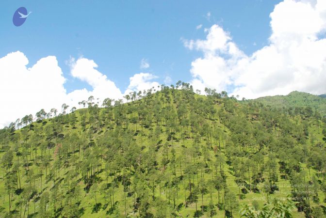 20080701 Photo 1958 1ycz5tyYLl--mxa5M2nMHiLE9Y4eC1yn .JPG