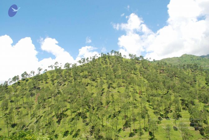 20080701 Photo 1959 1iIwOGHGPyHw lMxN5JNHKNscal2rKXsv.JPG