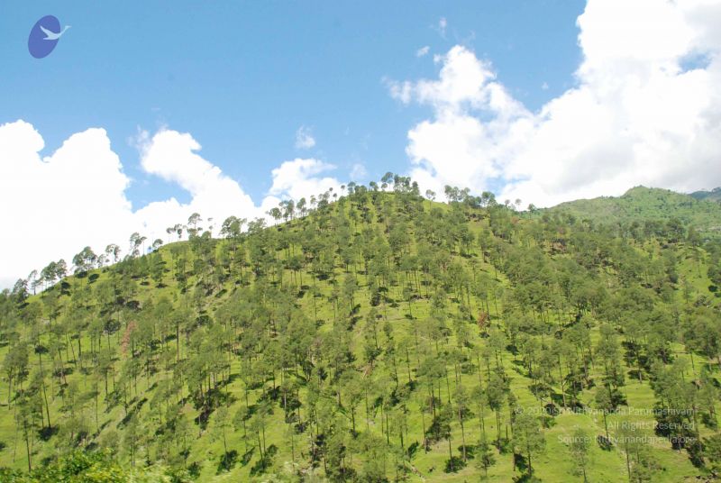 File:20080701 Photo 1959 1iIwOGHGPyHw lMxN5JNHKNscal2rKXsv.JPG