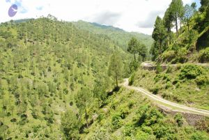 20080701 Photo 1962 1tfmr4FmJotONLy B09jiP0I9GNOOyOsX.JPG