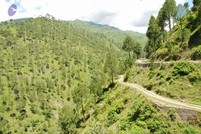 20080701 Photo 1962 1tfmr4FmJotONLy B09jiP0I9GNOOyOsX.JPG