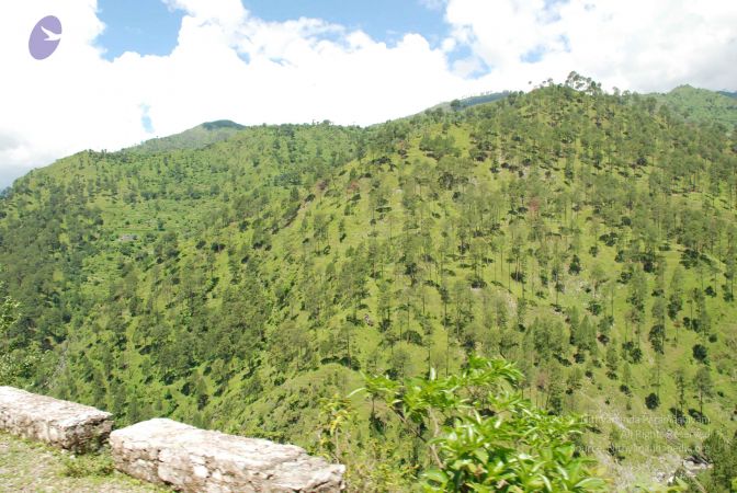 20080701 Photo 1964 1yNajrhr21R3sB0U0julKBhm6K966S1Hq.JPG