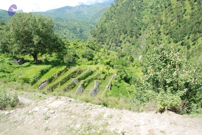 20080701 Photo 1966 1O7XLhjHPodbmR9bj1pqe EF5ujTMFW9C.JPG