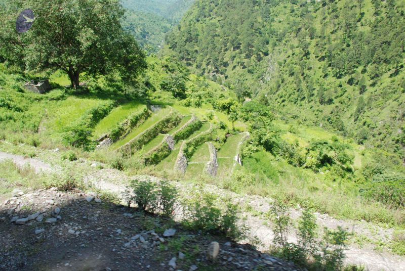 File:20080701 Photo 1967 1ULQx uQmb8YQiQx7hLXxL9TT0ZYiDKEZ.JPG