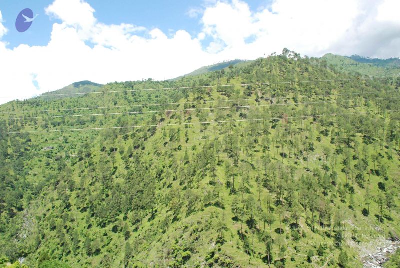 File:20080701 Photo 1968 1LM0qn6TaXySCr8qaMlybKVqbF-LqAMgW.JPG