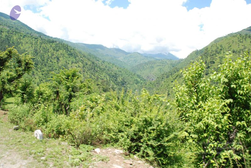 File:20080701 Photo 1969 1rvguRP87e4-DZxoqPwEIIubC0t3MPghb.JPG