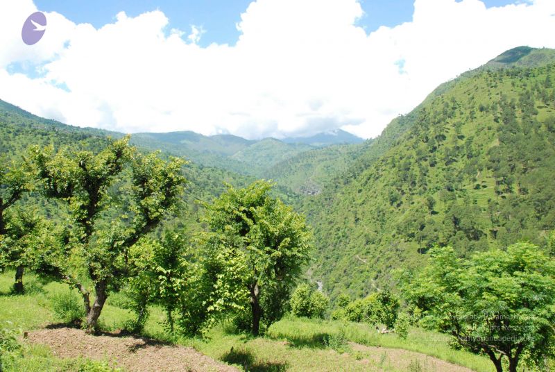 File:20080701 Photo 1970 1wuG4U1GPgTPeNCr5HbC7Nargjae9zrzB.JPG