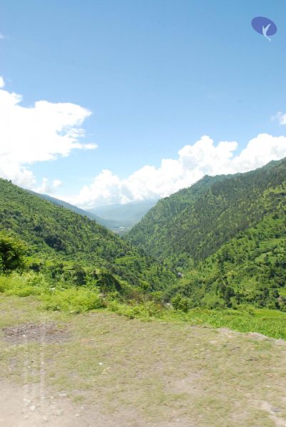 File:20080701 Photo 1981 1 X3- rydNnTibTfs7V6Xi60uqUqSfRzO.JPG