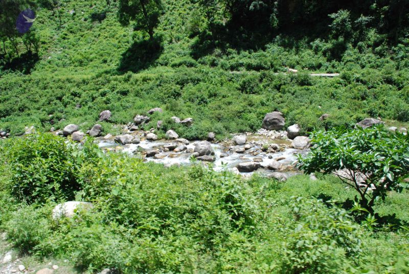 File:20080701 Photo 1996 1kUDM5f8pGW~UTZcXcJICg58IvkohCMK.JPG