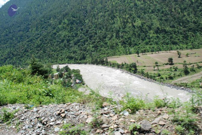 20080701 Photo 2005 13aO zAC0WYnnSGdkR0UH3CPKDc1M9UEK.JPG